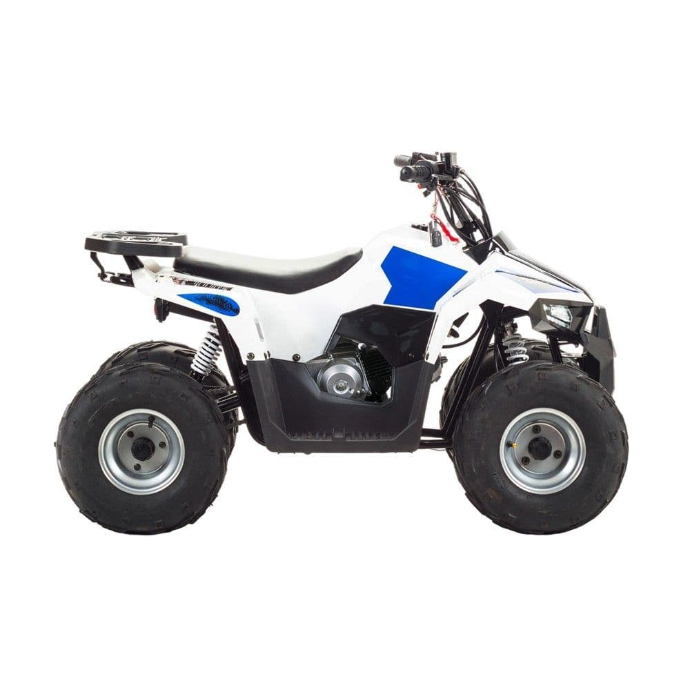 Квадроцикл FXmoto Mudhawk 110 комплект для сборки