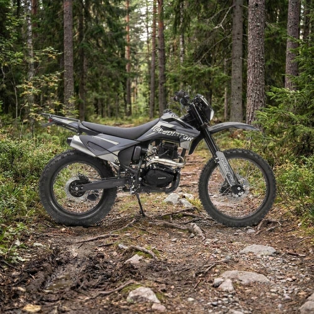 Эндуро / мотоцикл кроссовый Gladiator C4 PR300