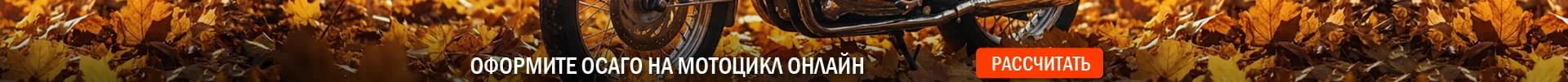 Страховой «Моторыч»